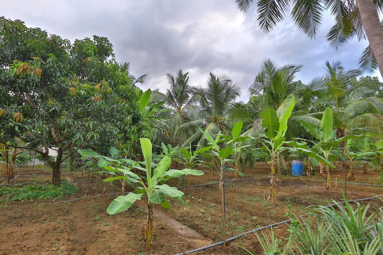 Sayon River Cottage & Eco Garden Monaragala Ngoại thất bức ảnh