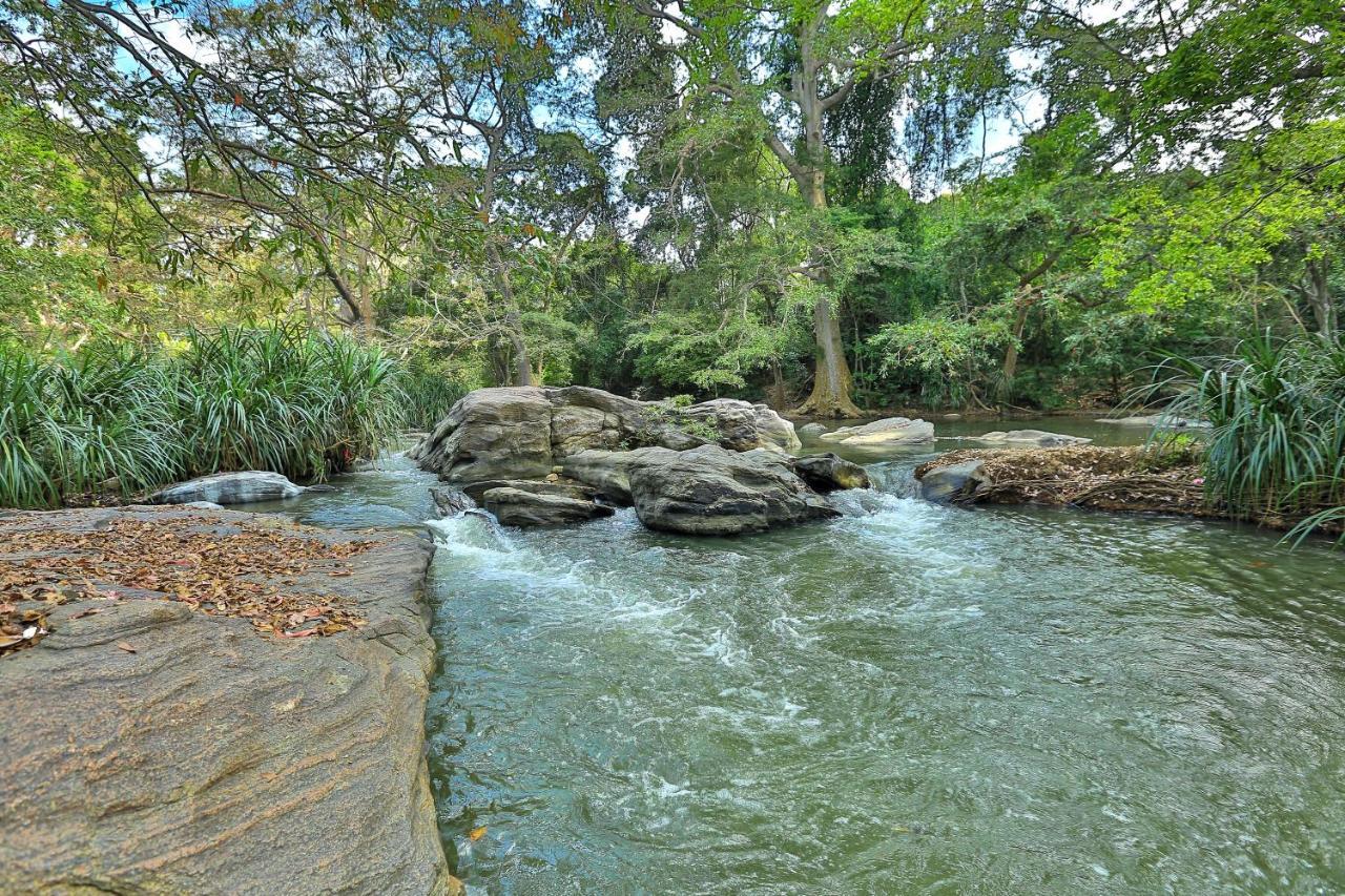 Sayon River Cottage & Eco Garden Monaragala Ngoại thất bức ảnh