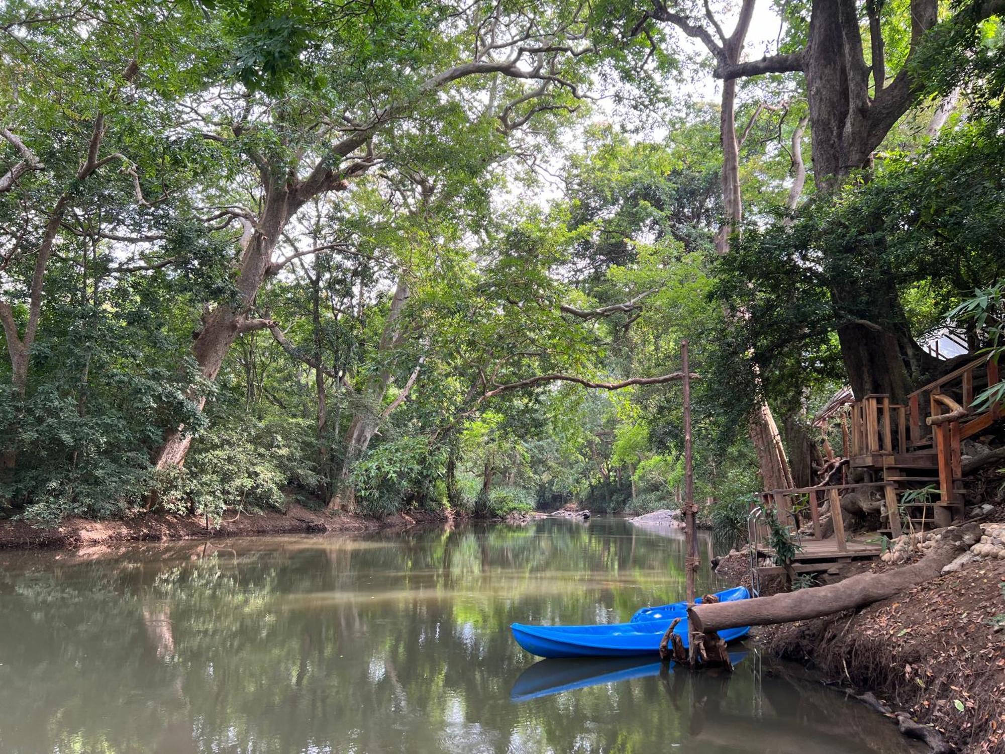 Sayon River Cottage & Eco Garden Monaragala Ngoại thất bức ảnh